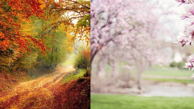 Equinoccio de Otoño / Equinoccio de Primavera