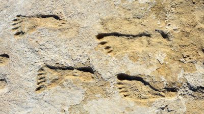 Huellas en Nuevo México indican presencia humana en América hace 23.000 años