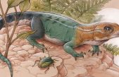 Descubren una nueva especie de lagarto fósil de 84 millones de años en la Patagonia