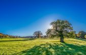 Día Internacional del Aire Limpio por un Cielo Azul