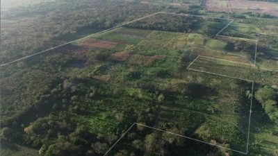 Desvelan centenares de estructuras misteriosas ocultas bajo los sitios mayas
