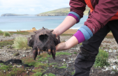 Los humanos prehistóricos se adelantaron a los europeos al colonizar las Islas Malvinas siglos antes