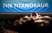 Hallan fósiles de dinosaurio en las obras de una carretera en el sureste de Brasil