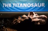 Hallan fósiles de dinosaurio en las obras de una carretera en el sureste de Brasil