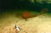 Arqueólogos localizan canoa prehispánica en un cenote durante proyecto del Tren Maya