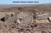 Detección de biomarcadores moleculares en rocas del Triásico-Jurásico del desierto de Atacama y su relevancia para la búsqueda de vida en Marte