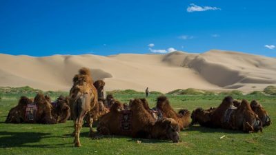 Los desiertos más grandes del mundo no son como piensas