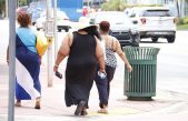 Los científicos creen que la obesidad se puede curar modificando una serie de genes llamados ‘hipopótamos’