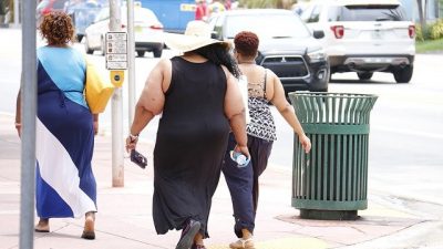 Los científicos creen que la obesidad se puede curar modificando una serie de genes llamados ‘hipopótamos’