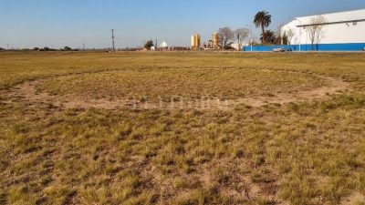 ¿OVNIS al sur de Entre Ríos? Ufólogos investigan extrañas huellas vistas por Google Maps