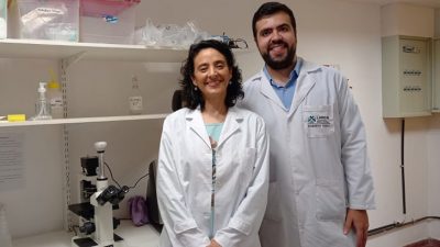Diseñan un parche inteligente para curar heridas crónicas