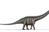 Supersaurus: el dinosaurio quizás más largo de la historia