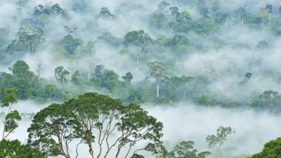 Valle Danum, uno de los más espectaculares del mundo