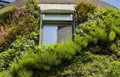 ¿Vegetación en muros externos para ahorrar en calefacción?