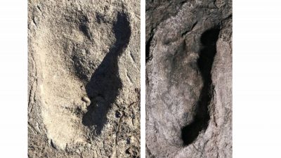 Un misterioso homínido bípedo dejó sus huellas hace más de 3 millones de años en Tanzania