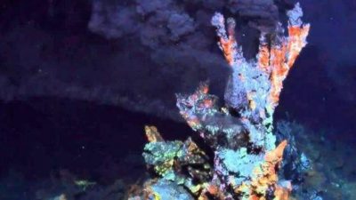 Cómo LUCA, el primer ser vivo de la Tierra, apareció de la nada