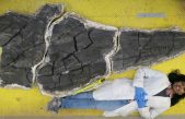 Descubren el ictiosaurio gigante más antiguo