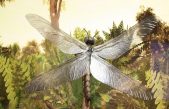 Así era el Meganeura monyi, el insecto más grande que ha volado sobre la Tierra y que está emparentado con las libélulas