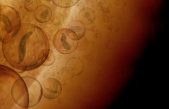 ¿Existencia de formas de vida en las nubes de Venus?