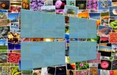 Paint te ayuda, mejora y establece tus fotos como fondo de escritorio