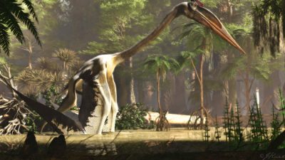 Los 5 descubrimientos de dinosaurios más importantes del 2021