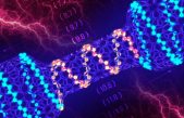 Transistor 25.000 veces más pequeño que el grosor de un pelo humano
