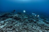 Descubren un enorme arrecife de coral inexplorado por la humanidad en Tahití
