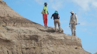 Los primeros de nuestra especie vivieron 35.000 años antes de lo que se creía