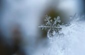 ¿Por qué los copos de nieve son hexagonales y simétricos?