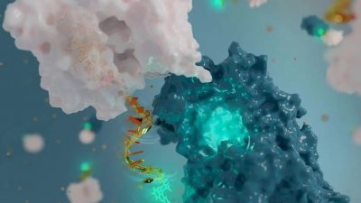 Construyen con ADN la antena más pequeña del mundo para ayudar a descubrir fármacos y comprender mejor las proteínas