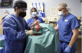 Hito en medicina: cirujanos estadounidenses trasplantan un corazón de cerdo a paciente humano