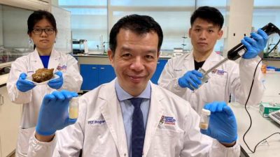 Nuevo sucedáneo vegetal del huevo para ciertos alimentos
