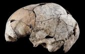 Encuentran el primer cráneo sometido a la primer cirugía de la historia, de hace 6 mil años