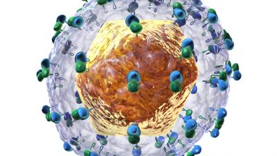 Investigadores del CSIC desarrollan novedosas moléculas inhibidoras del virus de la hepatitis C mediante evolución in vitro