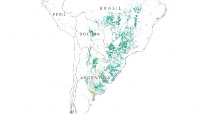 La expansión de la soja en América del Sur