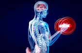 Por qué hacer ejercicio evita que el cerebro encoja