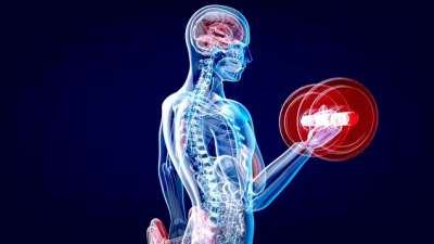 Por qué hacer ejercicio evita que el cerebro encoja