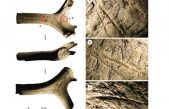 Descubren los rastros más antiguos de la presencia humana en el Ártico