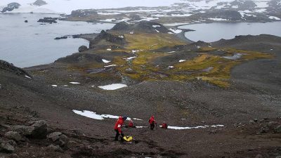 Descubren en la Antártica bacterias hiper resistentes que podrían significar un riesgo para la salud global