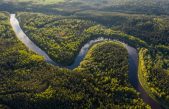 Por qué nunca se van a construir puentes que crucen a través del Río Amazonas
