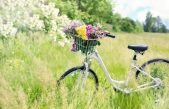 Día Mundial de la Bicicleta / del Donut / del Sommelier