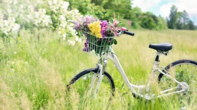 Día Mundial de la Bicicleta / del Donut / del Sommelier