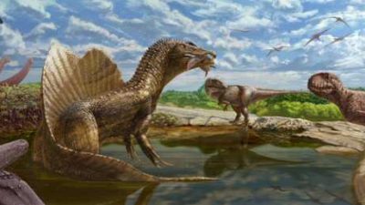 Dinosaurio carnívoro desconocido en el oasis de Bahariya