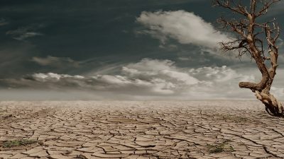Día de Lucha contra la Desertificación y la Sequía