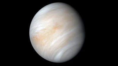 ¿Señales de vida en Venus? Un nuevo estudio dice que la compleja atmósfera venusiana no puede explicarse por la presencia de vida