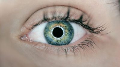 Los ojos revelan lo que sucede en el cerebro