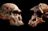 La ‘Cuna de la humanidad’, un millón de años más antigua de lo que se creía