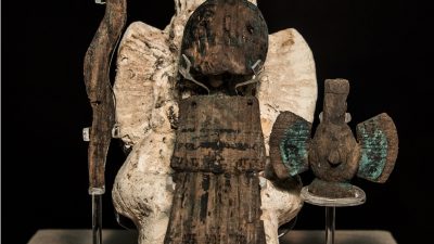 Del pino al ahuehuete, identifican seis especies arbóreas consagradas al pie del Templo Mayor.