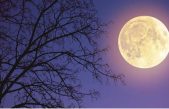 Superluna de Ciervo: qué es, qué día y desde donde se puede ver