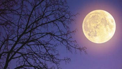 Superluna de Ciervo: qué es, qué día y desde donde se puede ver